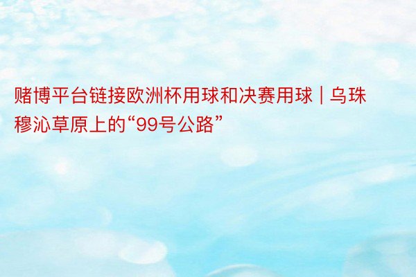 赌博平台链接欧洲杯用球和决赛用球 | 乌珠穆沁草原上的“99号公路”